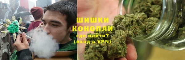 метадон Алексин