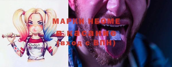 метадон Алексин
